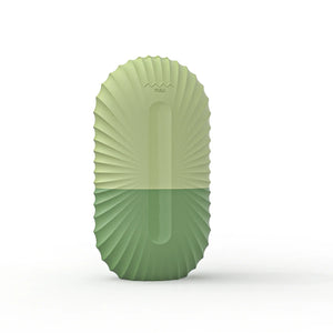🧊 Ice Massager Face Roller