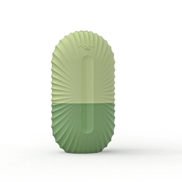 🧊 Ice Massager Face Roller