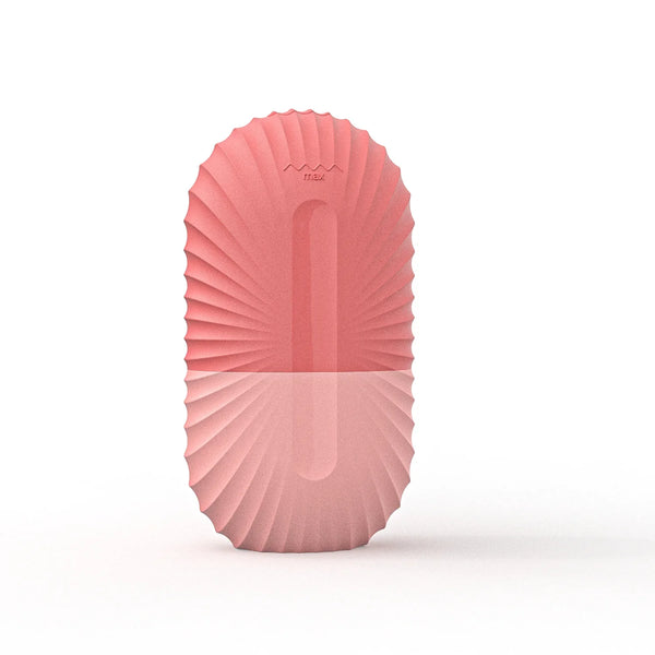 🧊 Ice Massager Face Roller