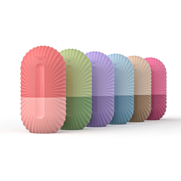 🧊 Ice Massager Face Roller